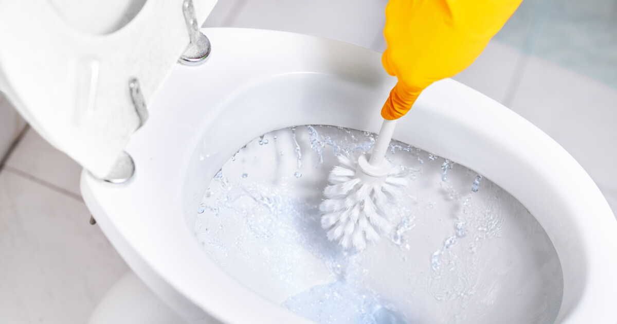 Le guide essentiel pour garder votre brosse de toilettes impeccable