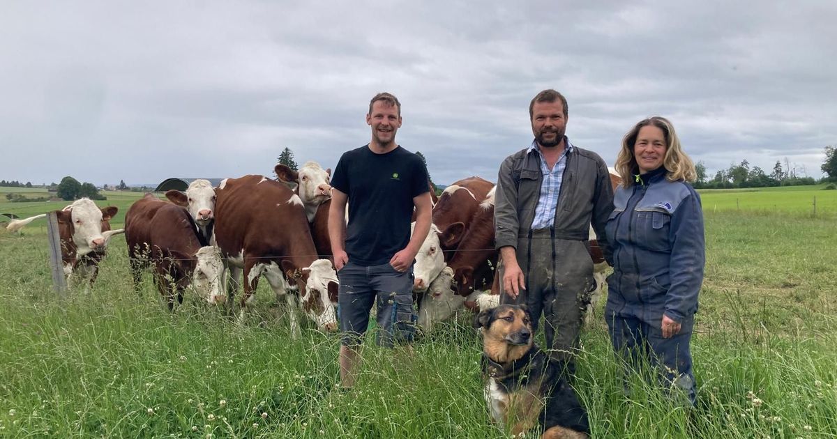 Des opportunités d'emploi pour soutenir les agriculteurs en Haute-Saône et Territoire de Belfort
