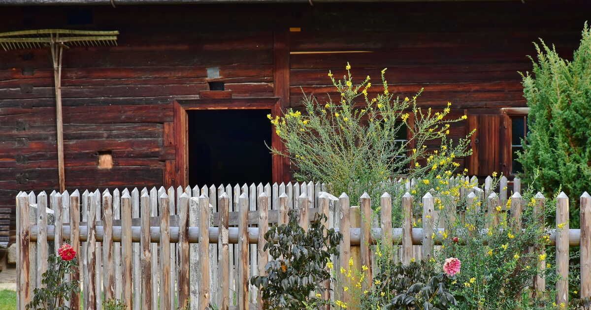 Préparer son jardin avant de partir en vacances : les astuces essentielles