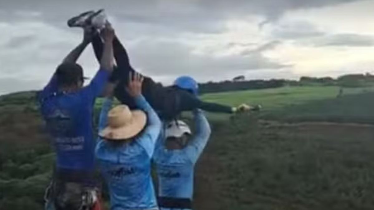 Une tragédie évitable : une jeune femme perd la vie lors d'un saut à l'élastique au Brésil