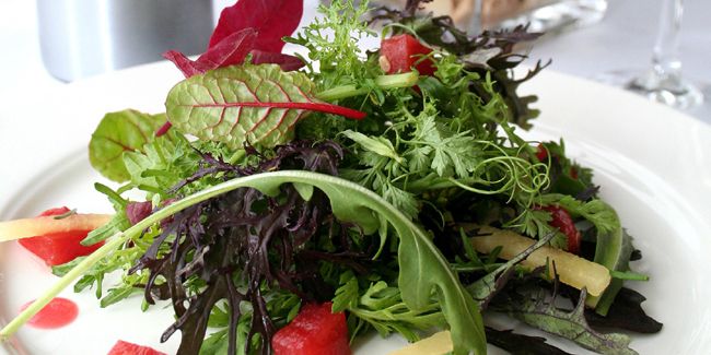 découverte des plantes sauvages comestibles : un trésor à portée de main