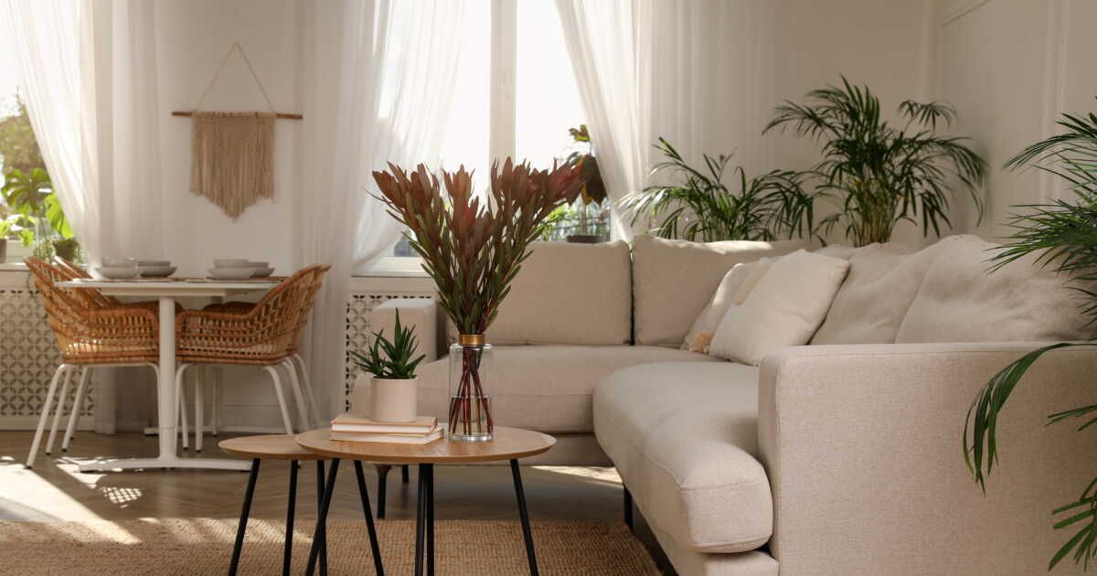 25 plantes faciles à entretenir pour un intérieur verdoyant