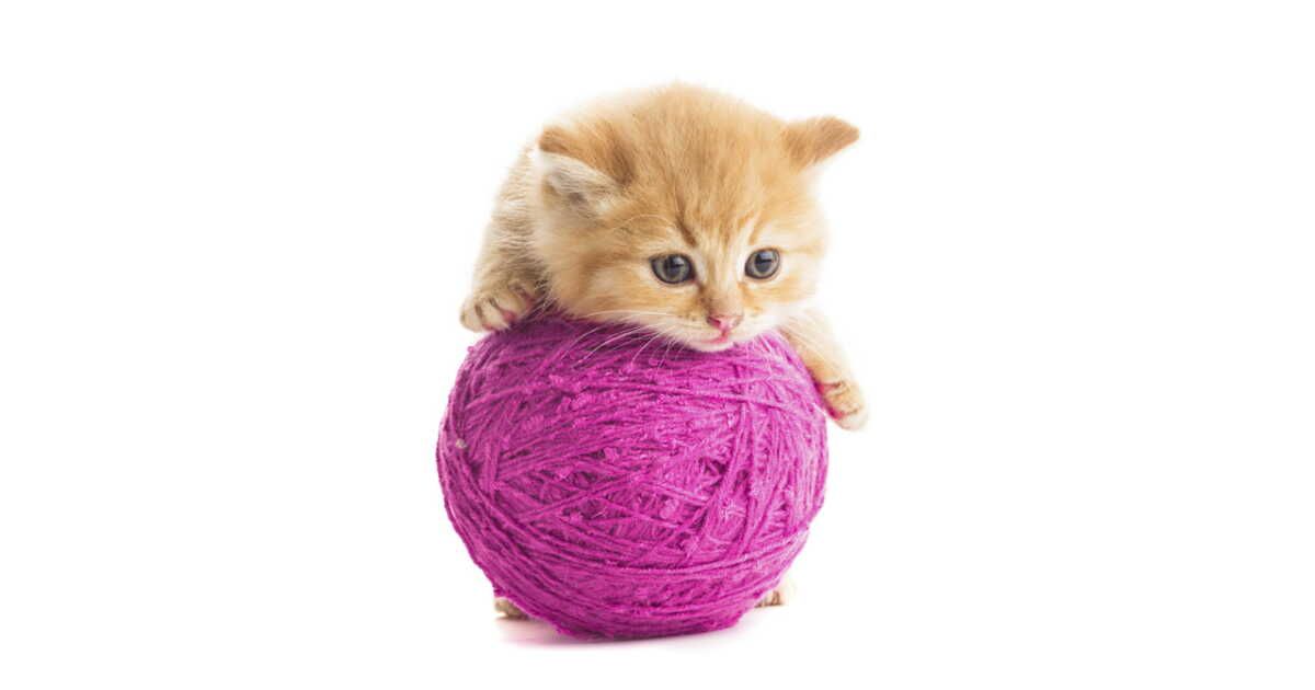 Les secrets du tricot en rond pour débutants