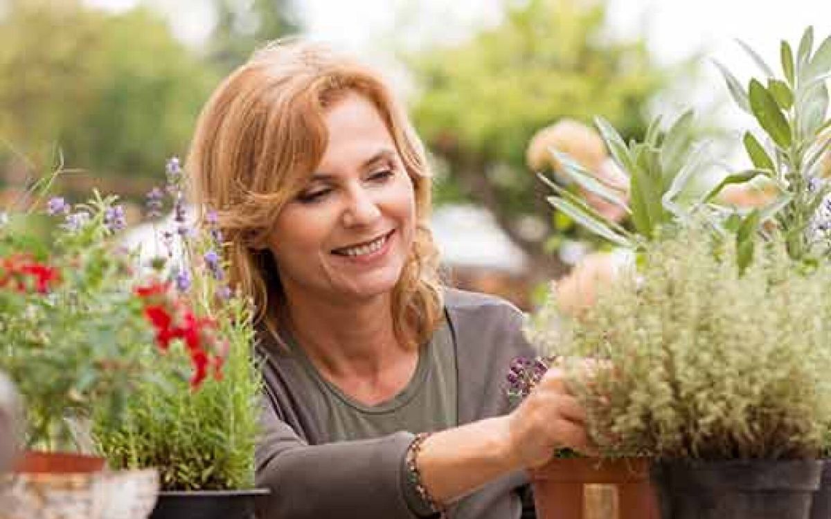 Cultiver son jardin sans être un expert : conseils pratiques