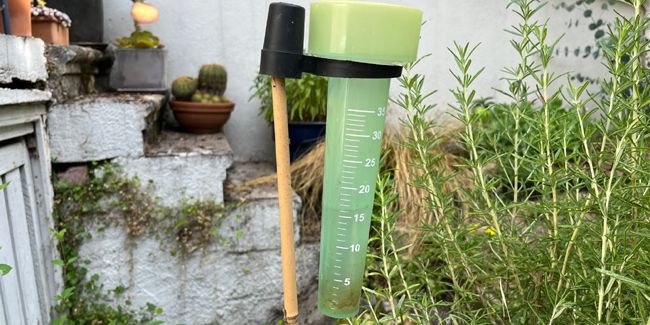 Comment bien utiliser un pluviomètre pour votre jardin