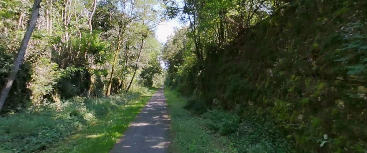Retrouvailles inespérées : une femme de 44 ans retrouvée vivante après une semaine dans les bois