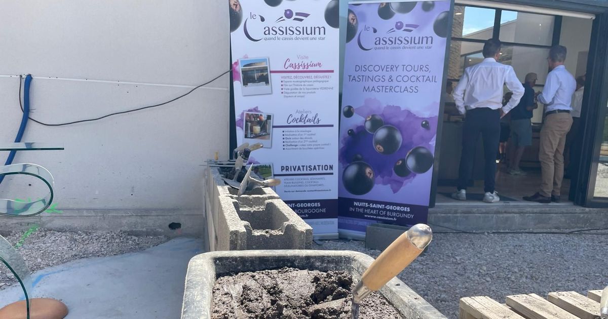Le Cassissium fait peau neuve à Nuits-Saint-Georges