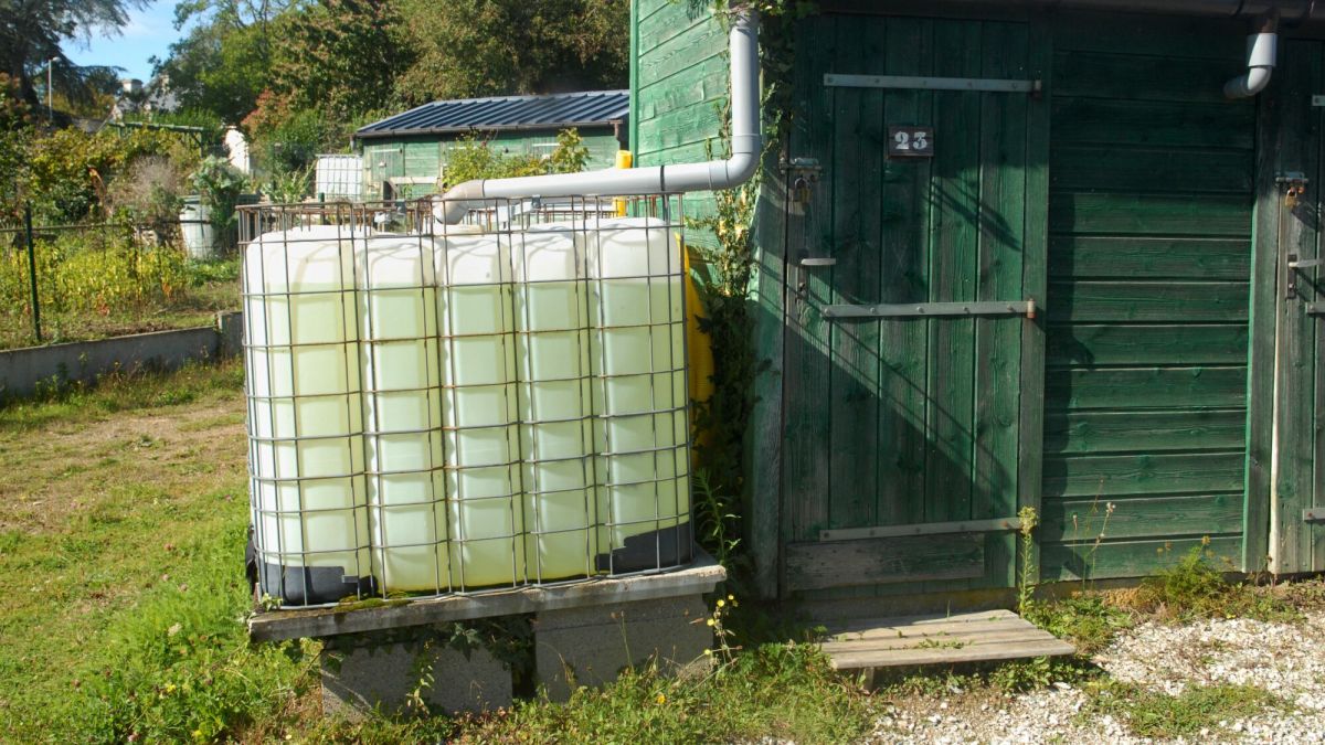 Récupération de l'eau de pluie : une nécessité à l'ère du changement climatique