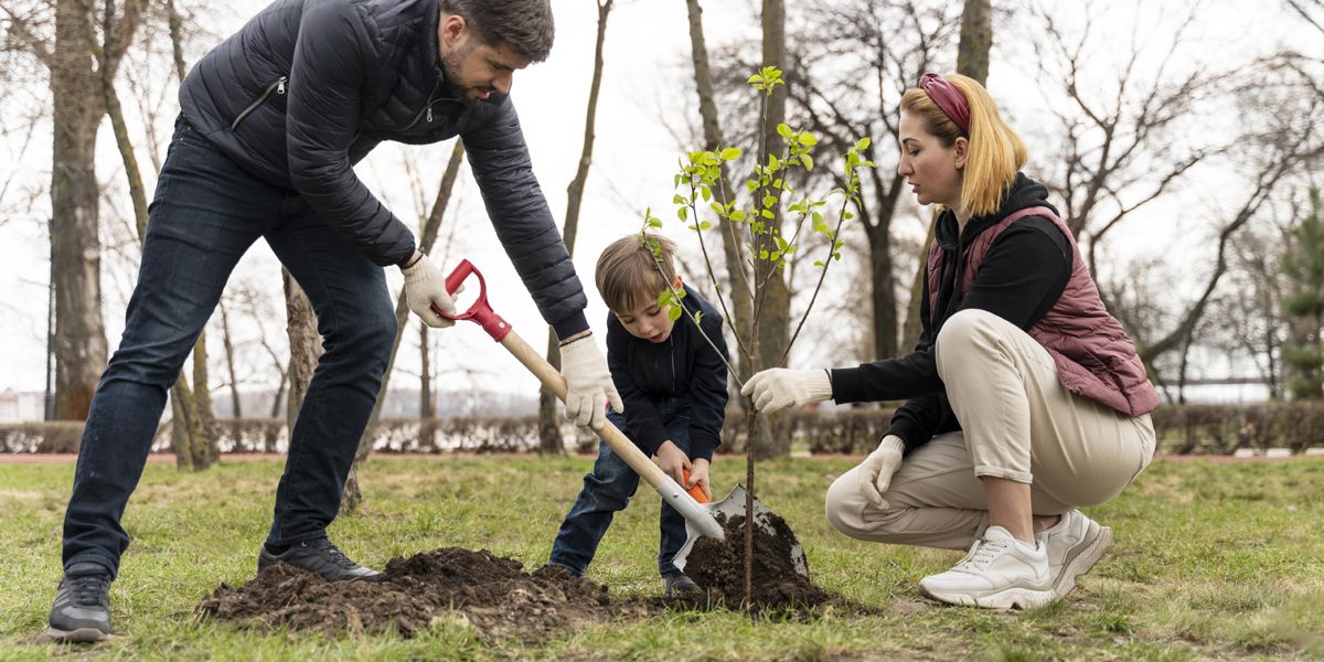 Les atouts insoupçonnés d'un arbre dans votre jardin