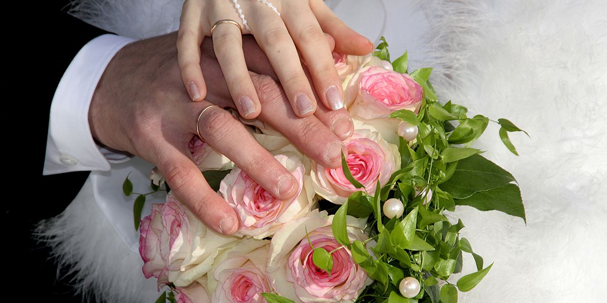 Décoder le langage secret des fleurs