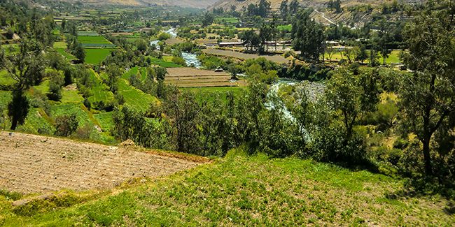 Comprendre la conversion des hectares en mètres carrés : guide pratique