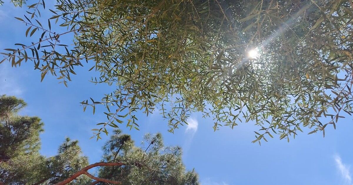 Canicule en Côte-d'Or et Saône-et-Loire : comment se protéger