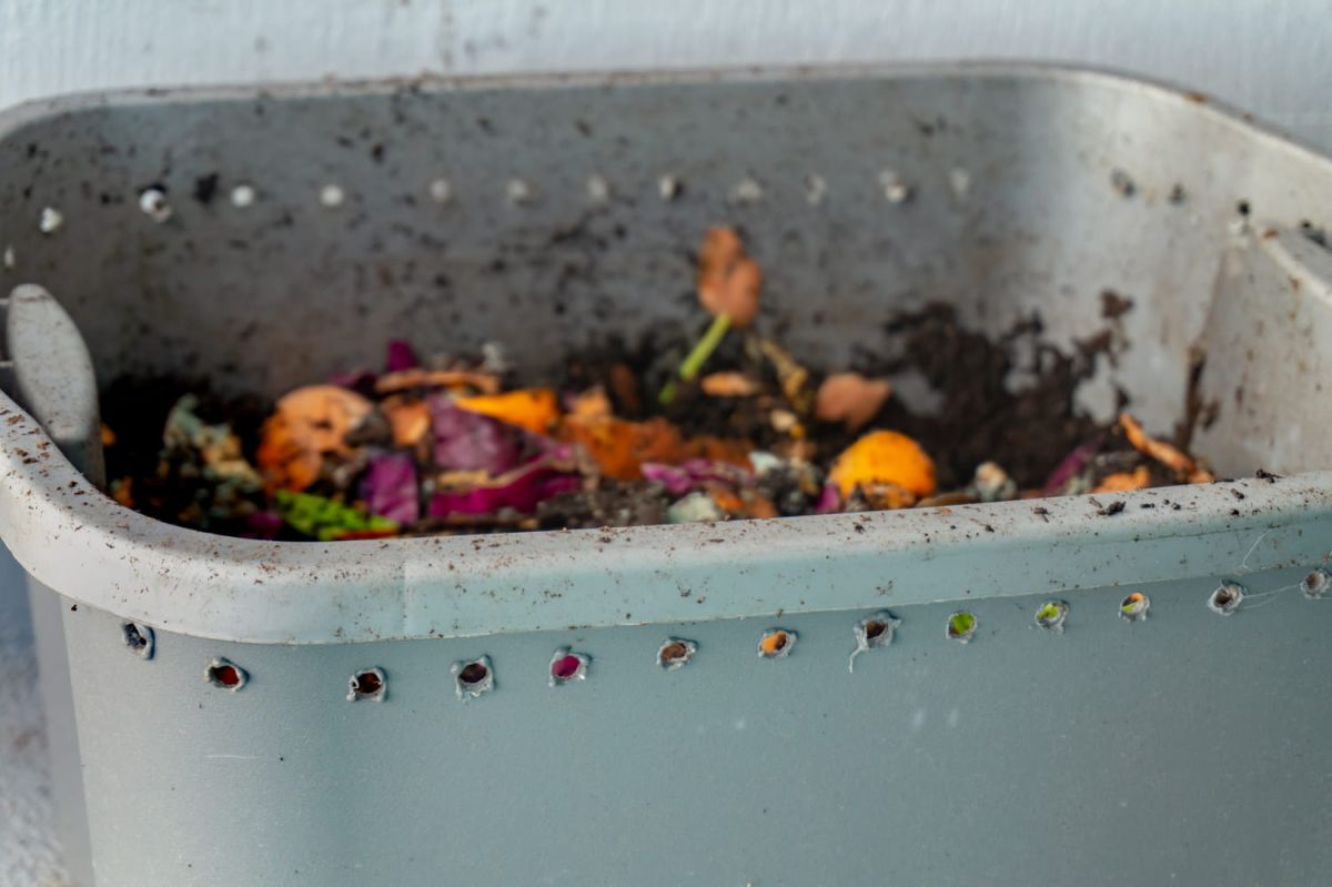 5 astuces pour réussir votre compost selon une experte du jardinage