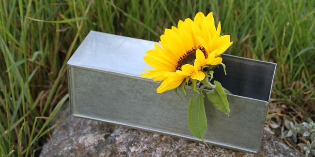 Astuces infaillibles pour redonner éclat et longévité au zinc