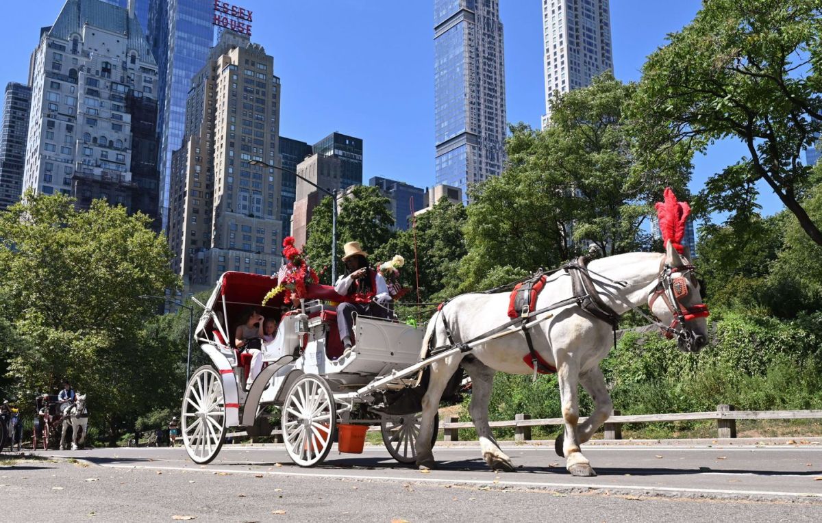 Un drame tragique à Central Park : un jeune de 18 ans succombe après un accident de calèche