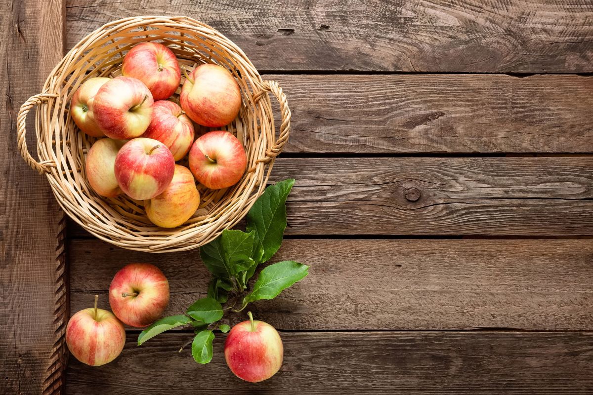 La pomme, un allié santé à croquer sans modération