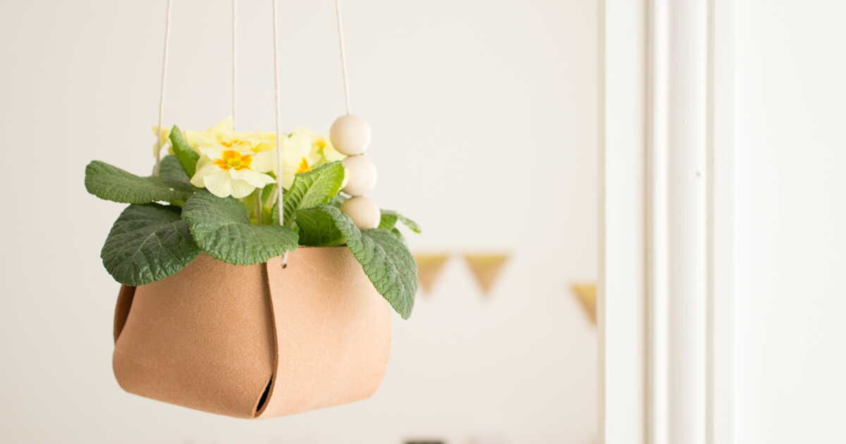 Renaître au printemps : nos idées inspirantes