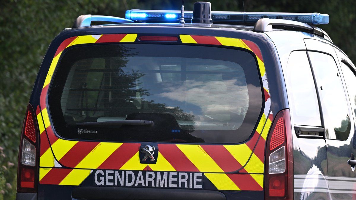 Un octogénaire ouvre le feu sur des gendarmes, persuadé de la révolution en cours