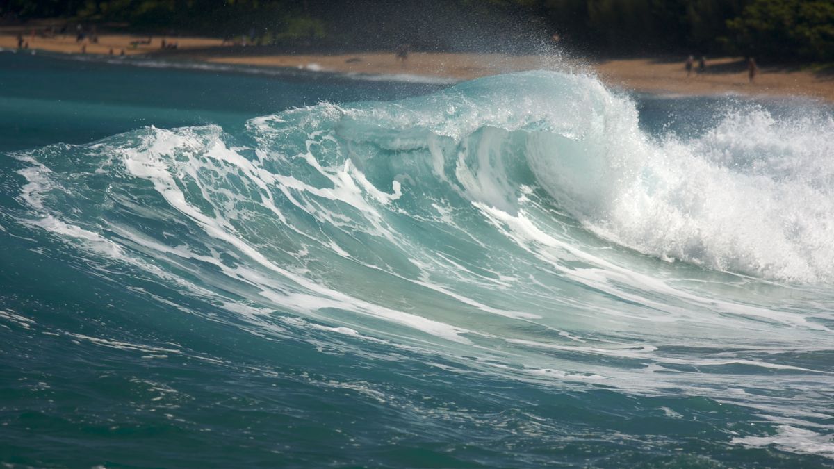 Miraculeuse survie d'une pêcheuse emportée par une vague scélérate