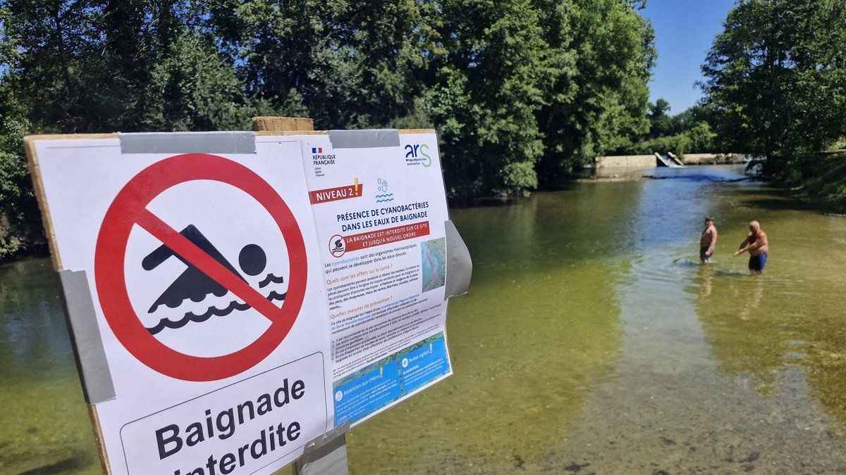 Canicule : des drames en piscine, le gouvernement s'inquiète
