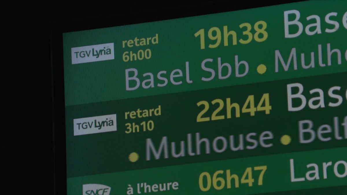 Un TGV Paris-Bâle bloqué : le calvaire des passagers sous la chaleur