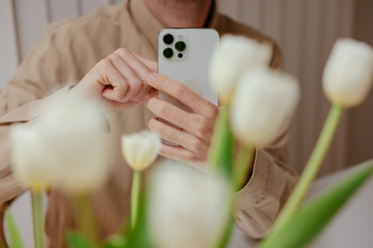 Découvrez comment votre iPhone peut identifier n'importe quelle plante en un clin d'œil