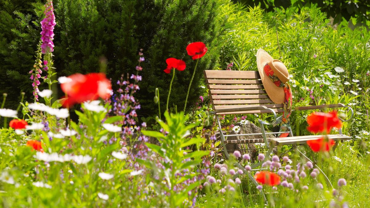 Alain Baraton : Apprivoisez les insectes avec des fleurs dans votre jardin