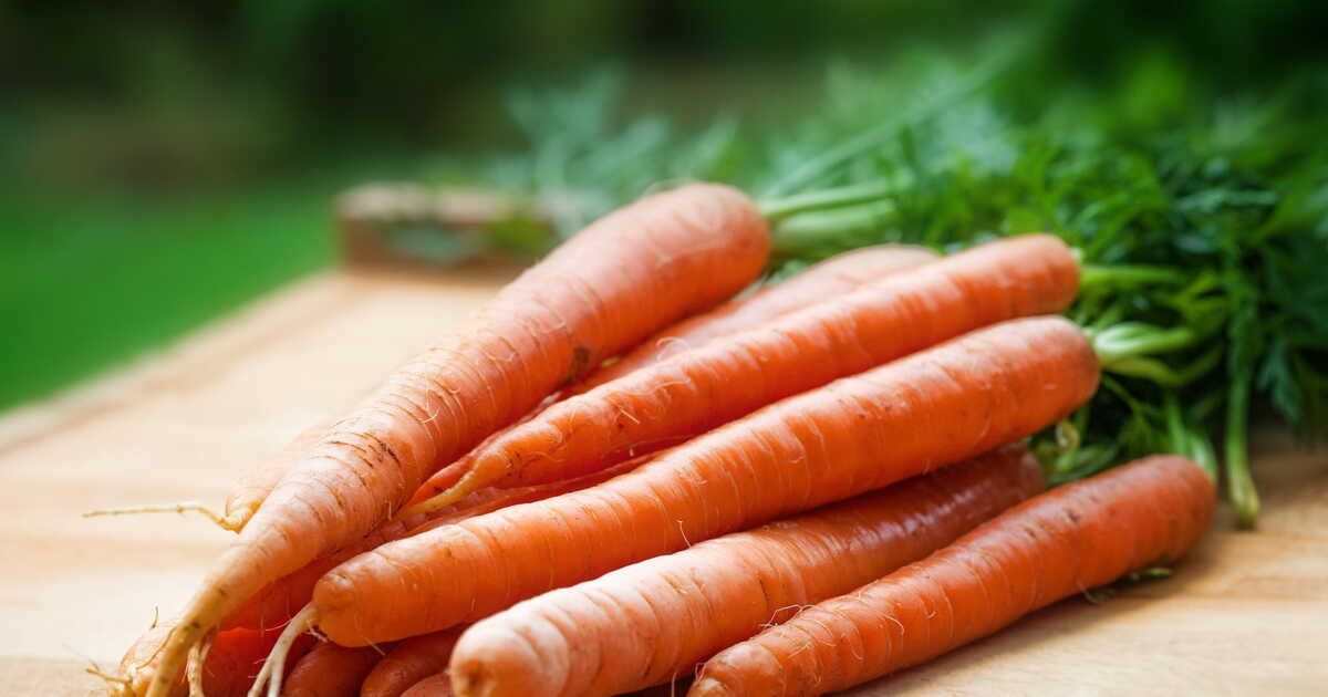 Les secrets pour congeler des carottes efficacement