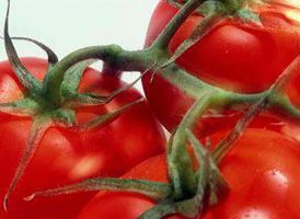 Défi culinaire : les chefs d'Aquitaine vous défient avec la tomate