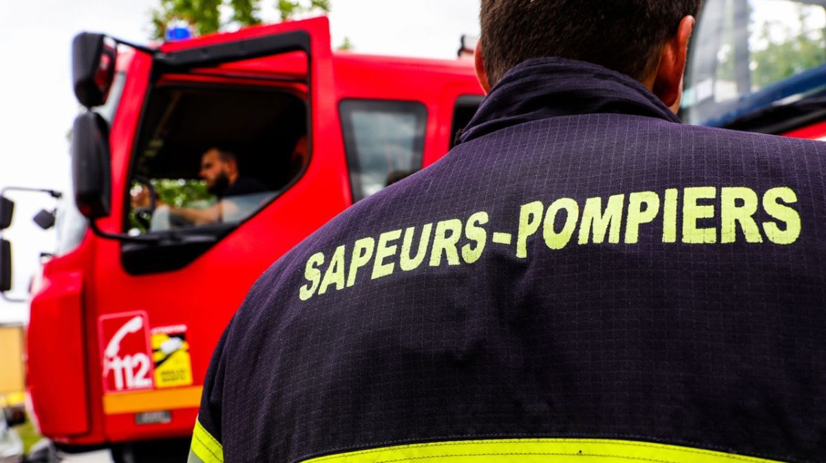 Incendies en Deux-Sèvres : les pompiers en action face aux flammes à Saint-Aubin-le-Cloud