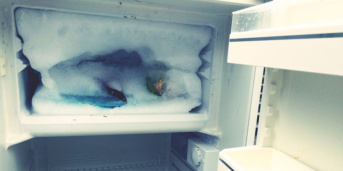 Dévoiler les mystères du givre dans votre frigo : 12 causes à explorer