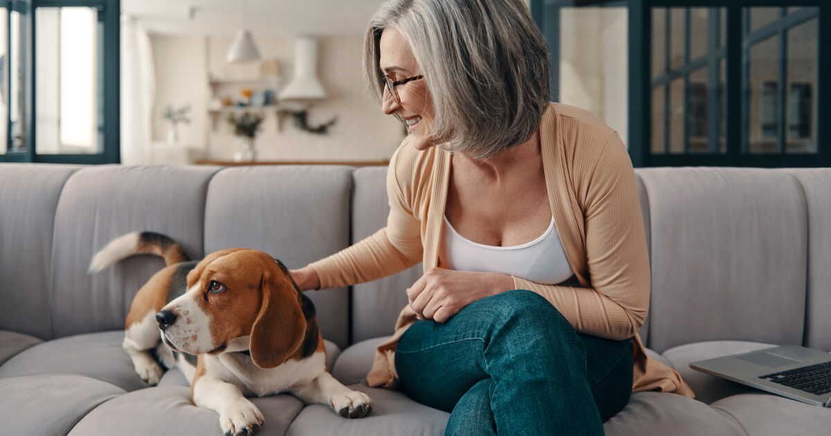 Adopter un chien en location : quelles sont vos obligations ?