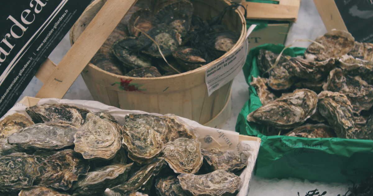 Les huîtres, trésors marins à savourer sous toutes leurs formes