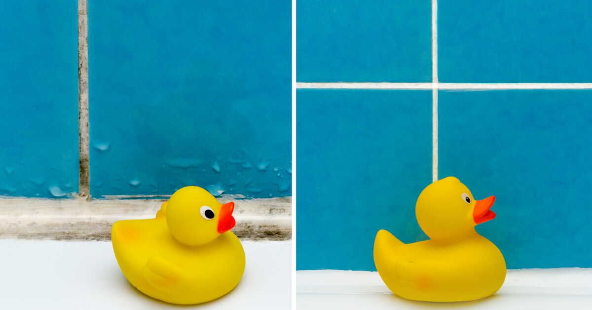 Éliminer la moisissure de votre salle de bain : 5 solutions naturelles et efficaces