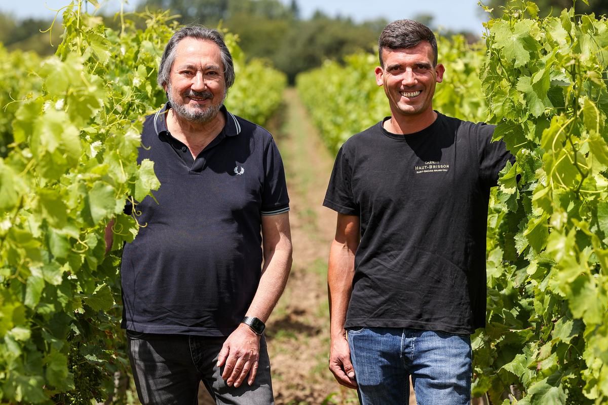 À la découverte des cépages audacieux de Stéphane Schinazi à Saint-Émilion