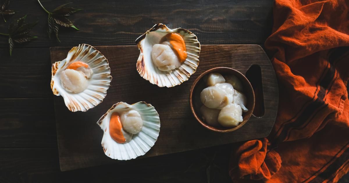 Les recettes incontournables de coquilles Saint-Jacques à découvrir cette saison
