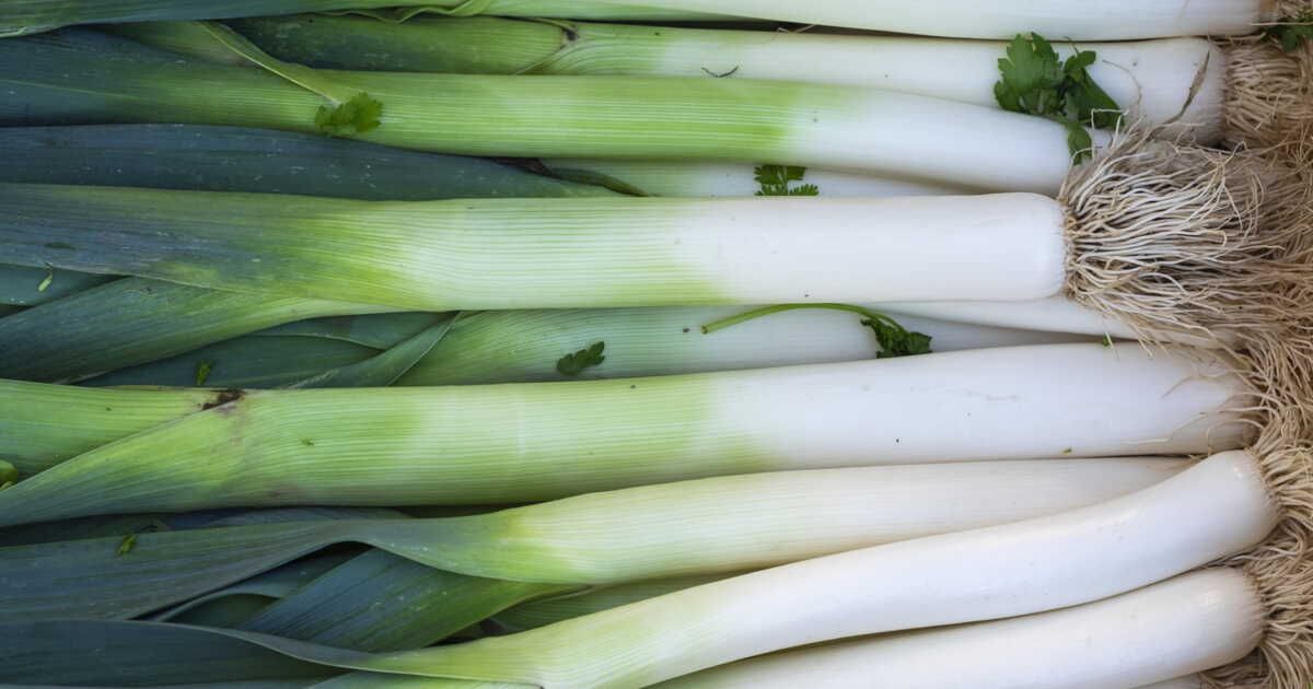 Redécouvrez les verts de poireau : une fondue japonaise pleine de saveurs