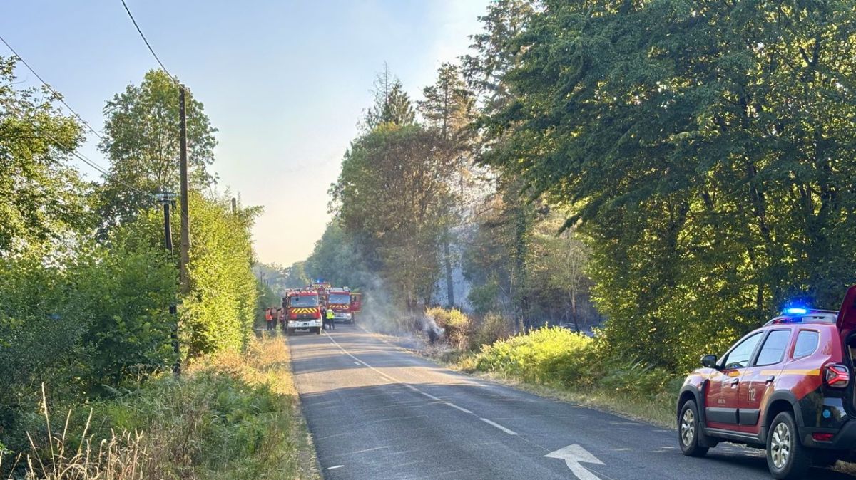 Un feu de forêt menace Secondigny : les pompiers en alerte