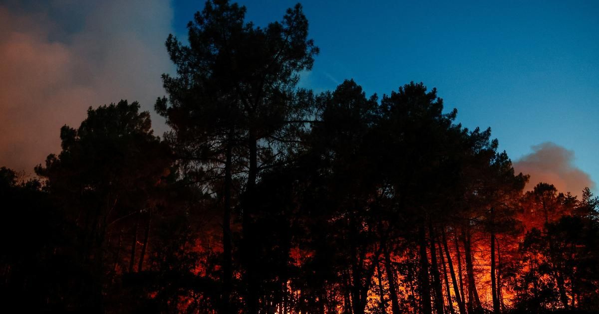 Incendie à Fontainebleau : la lutte acharnée des secours face à un drame écologique